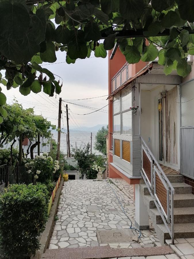 Villa Shine Apartment 1 Struga Exterior photo