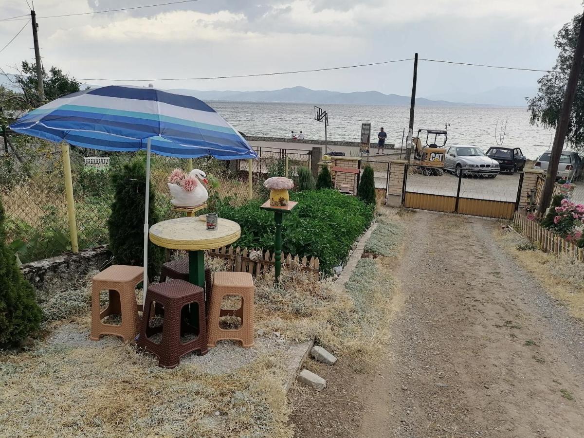 Villa Shine Apartment 1 Struga Exterior photo